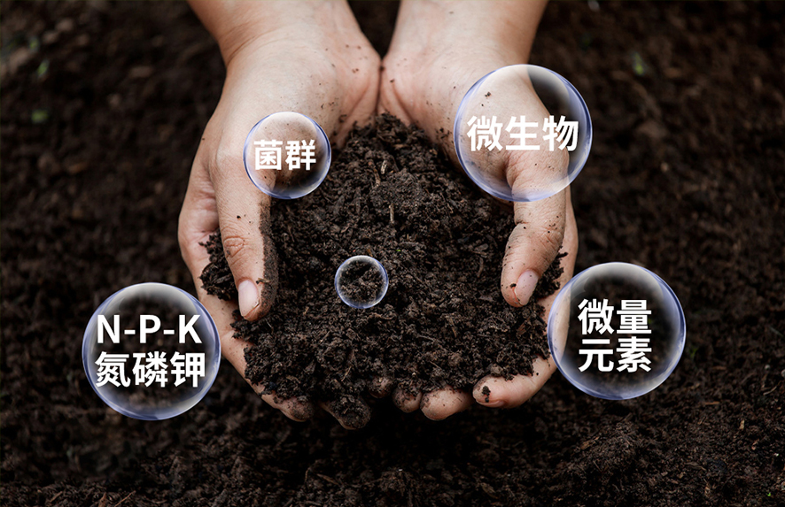 品質(zhì)優(yōu)于標準